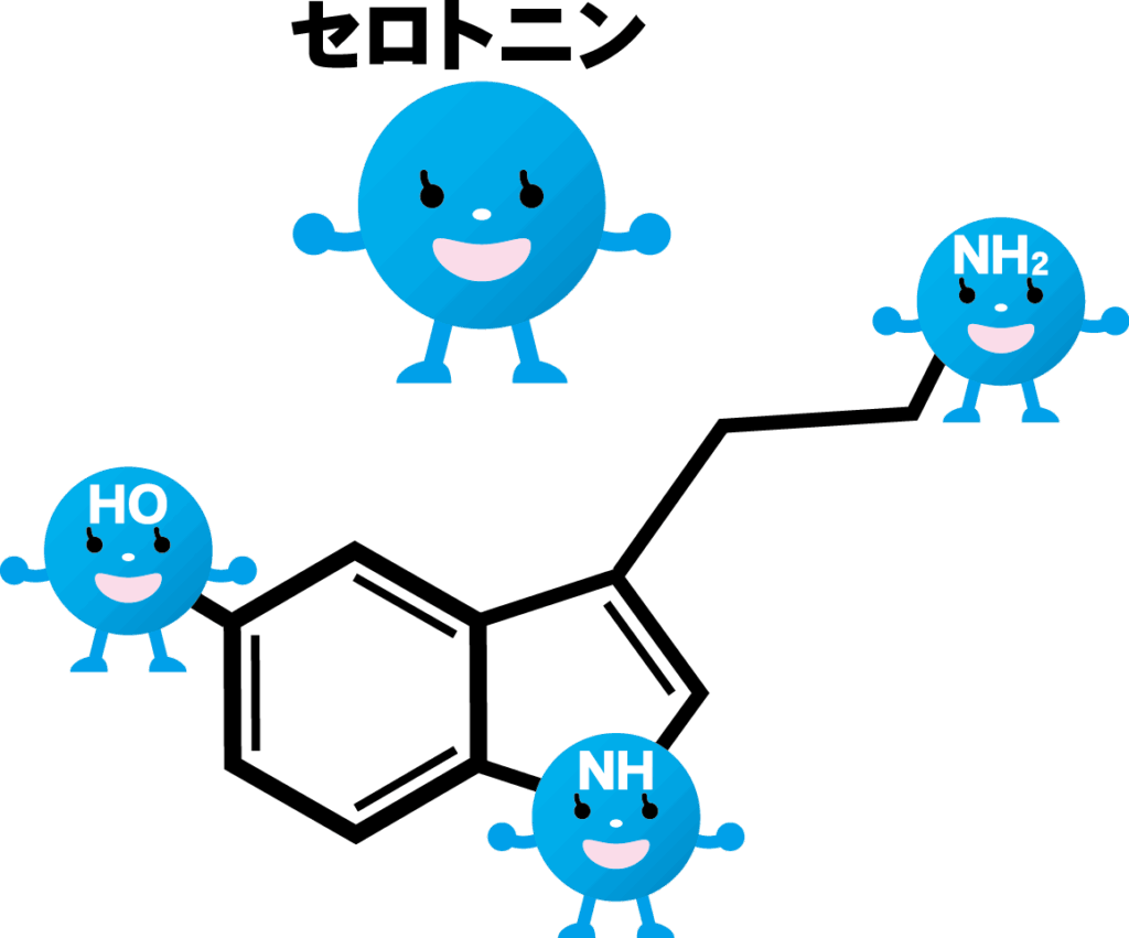 セロトニン