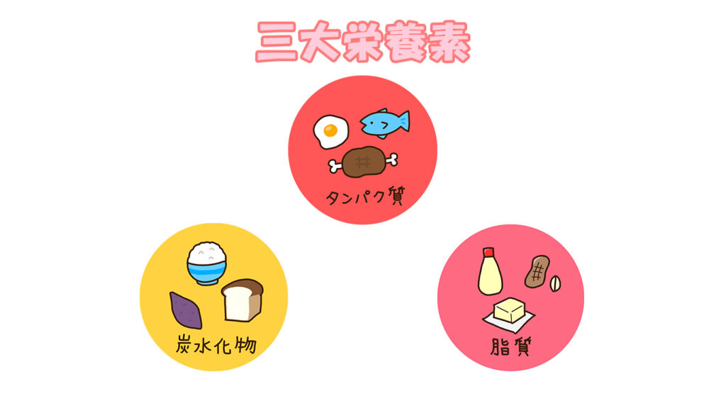三大栄養素