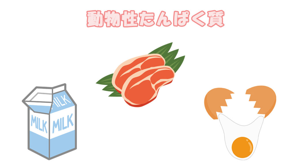 動物性たんぱく