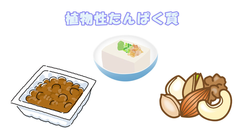 植物性たんぱく