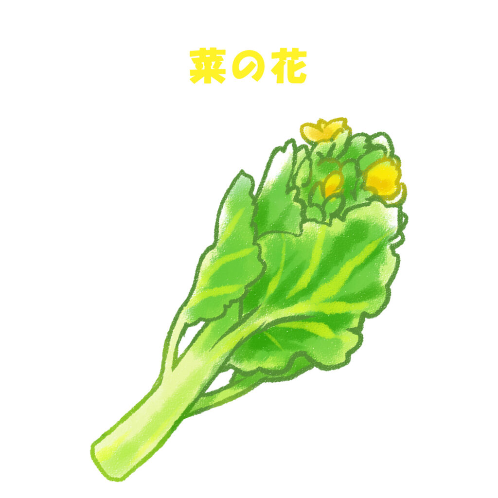 菜の花