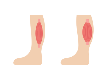 ふくらはぎ