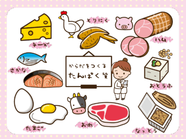 たんぱくアイキャッチ